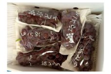 ぶどう（デラウェア）１ｋｇ　0142-2501