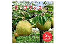西洋梨（ラ・フランス）３ｋｇ　ご家庭用　0010-2503