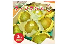 【山形セレクション認定品】西洋梨（ラ・フランス）３ｋｇ　特秀品　0010-2504