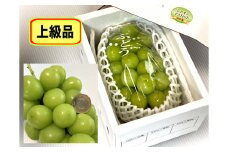 大粒シャインマスカット（上級品）　１房　８００ｇ以上　0009-2505