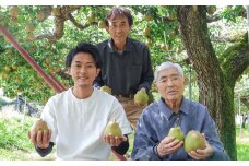【超大玉８Ｌサイズ！！】ラ・フランス　４玉　ご家庭用　0078-2509