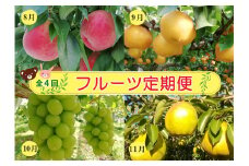 【定期便：全４回】フルーツ定期便　0148-2506