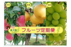 【定期便：全３回】フルーツ定期便　0148-2505