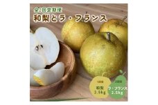 【定期便：全２回】和梨とラ・フランス　各２.５ｋｇ　0012-2511