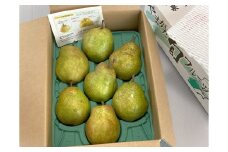 西洋梨（ラ・フランス）３ｋｇ　大玉　ご家庭用　0009-2511