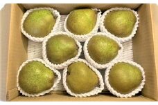 西洋梨（ラ・フランス）３ｋｇ　ご家庭用　0126-2502