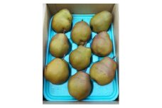 西洋梨（ゴールドラ・フランス）３ｋｇ　ご家庭用　0017-2523