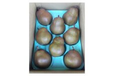 西洋梨（ゴールドラ・フランス）３ｋｇ　0017-2524