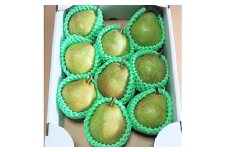 西洋梨（ラ・フランス）３ｋｇ　８～１０玉　特秀品　0042-2505