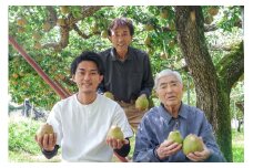 西洋梨（ラ・フランス）３.４ｋｇ　ご家庭用　0078-2505