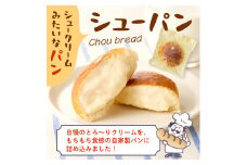 シューパン　１１個　0122-2502