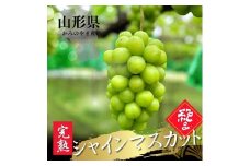 大粒シャインマスカット　１房　0079-2510