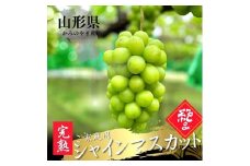 シャインマスカット　３～５房　合計１.８ｋｇ以上　ご家庭用　0079-2511