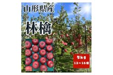 有機肥料栽培　葉とらずサンふじ　上山市産　５ｋｇ　大玉　１２～１６玉　0079-2524