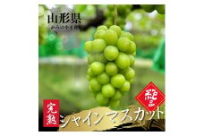 大粒シャインマスカット　２～３房　合計１.８ｋｇ以上　特秀品　0079-2513