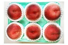 太陽の恵【特選】さくら白桃　大玉【２ｋｇ箱に１.８ｋｇ～２.２ｋｇ詰め】　0106-2508