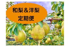【定期便：全３回】和梨・洋梨の定期便（幸水、ラ・フランス、シルバーベル）　0142-2517