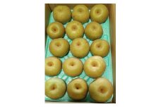 和梨（幸水）５ｋｇ　特秀・秀品混合　0042-2510