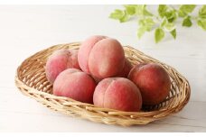 【フルーツ王国直送！】山形旬の桃　２ｋｇ（ゆうぞら、幸茜、白根白桃、紅錦香、他）いずれか１品種　0033-2515