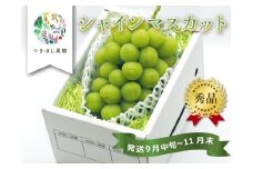上山市産シャインマスカット　１房　0140-2504