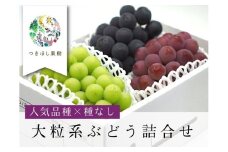 【産地直送】シャインマスカットと大粒系ぶどう詰合せ　１.８ｋｇ以上　0140-2507