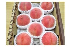 旬の桃　３ｋｇ　0110-2503