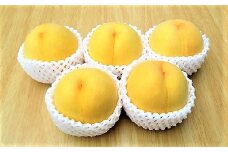 桃（黄金桃）３ｋｇ　0110-2504