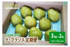 【定期便：全２回】ラ・フランス　３ｋｇ　ご家庭用を２回お届け　0037-2514