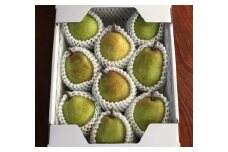 西洋梨（ラ・フランス）３ｋｇ　８～１１玉　特秀品　化粧箱入　0049-2511