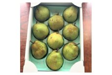 西洋梨（ラ・フランス）３ｋｇ　８～１１玉　ご家庭用　0049-2512