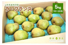 西洋梨（ラ・フランス）５ｋｇ　ご家庭用　0037-2508