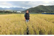 【２０２５年１０月～発送】令和７年産　自然栽培１５年目のササニシキ　玄米、分づき米　５ｋｇ　0098-2502