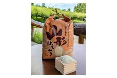 【定期便】令和７年産　はえぬき（精米）５ｋｇ×６か月連続お届け　0011-2510