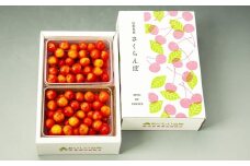 さくらんぼ（佐藤錦か紅秀峰）１ｋｇ　秀品　0020-2604