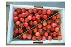 さくらんぼ（佐藤錦か紅秀峰）１ｋｇ　ご家庭用　0030-2603