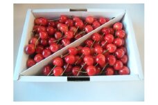 さくらんぼ（佐藤錦か紅秀峰）１ｋｇ　秀品　0030-2604