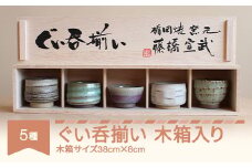 楯岡焼窯元 ぐい呑揃い 5種 tt-tognx