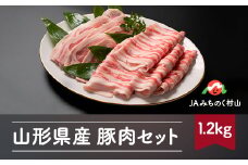 山形県産 豚肉 セット ロース バラ 各600g 計1.2kg ja-bnstx12