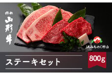 特選山形牛 ステーキセット 800g サーロイン モモ 各200g×2 牛肉 黒毛和牛 ja-gnssx800