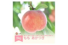 先行予約 もも 桃 あかつき 約5kg 令和7年産 2025年産 果物 ja-moatx5