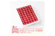 先行予約 加温ハウス さくらんぼ 佐藤錦 2025年産 令和7年産 300g 化粧箱 特秀L玉以上 早出し ja-snkxx300