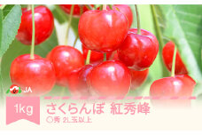 先行予約 さくらんぼ 紅秀峰 1kgバラ ◯秀2L玉以上 2026年産 令和8年産 ja-bspcx1000