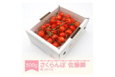 先行予約 さくらんぼ 佐藤錦 秀品 L玉 500g バラ詰 2025年産 令和7年産 山形県産 mm-snbax500