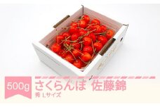先行予約 さくらんぼ 佐藤錦 秀品 L玉 500g バラ詰 2026年産 令和8年産 山形県産 mm-snbax500