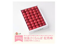 先行予約 加温ハウス さくらんぼ 紅秀峰 300g 化粧箱 特秀2L玉以上 2025年産 令和7年産 早出し ja-bskxx300
