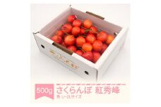 先行予約 さくらんぼ 紅秀峰 秀品 L-2L玉 500g バラ詰 2025年産 令和7年産 山形県産 mm-bsbax500