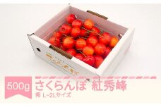 先行予約 さくらんぼ 紅秀峰 秀品 L-2L玉 500g バラ詰 2026年産 令和8年産 山形県産 mm-bsbax500