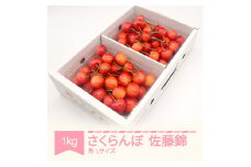 先行予約 さくらんぼ 佐藤錦 秀品 500g×2パック L玉 2025年産 令和7年産 山形県産 mm-snpsx1000