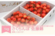 先行予約 さくらんぼ 佐藤錦 赤秀 500g×2パック L-2L玉 バラ詰 ご家庭用 2025年産 令和7年産 山形県産 mm-snpcx1000