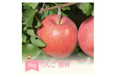 【先行予約】りんご 昂林 5kg 秀 2025年産 令和7年産 ja-rikrx5